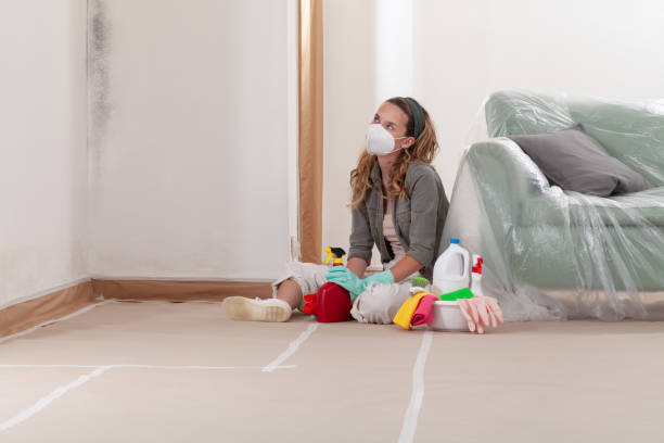 Reliable Mold Remediation contractor in Rolling Meadows, IL by Mold Remediation HQ